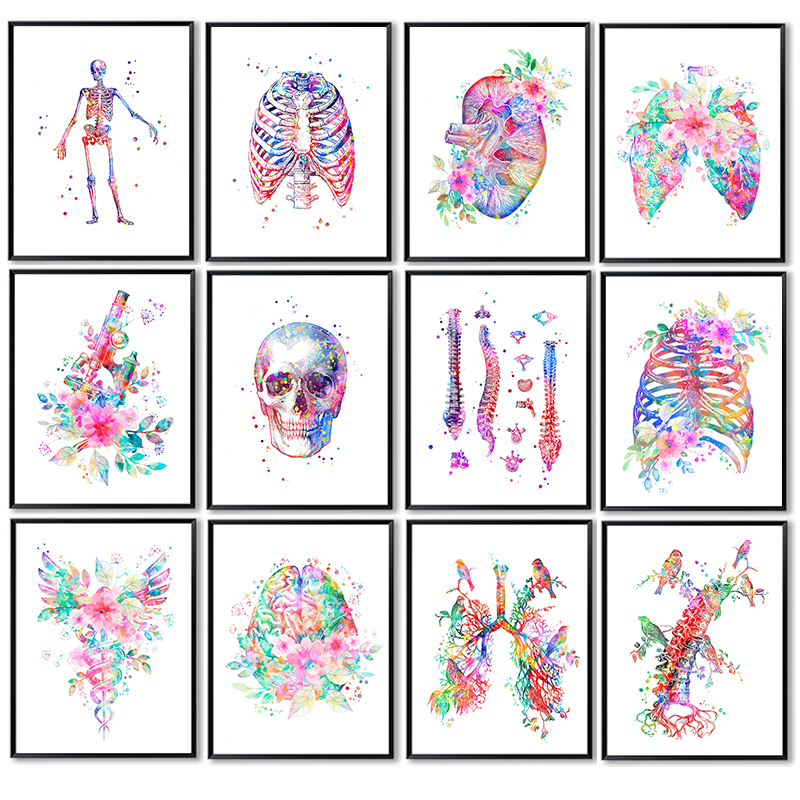 Medical Lab Posters - ملصق طبي تشريحي، لوحة فنية جدارية