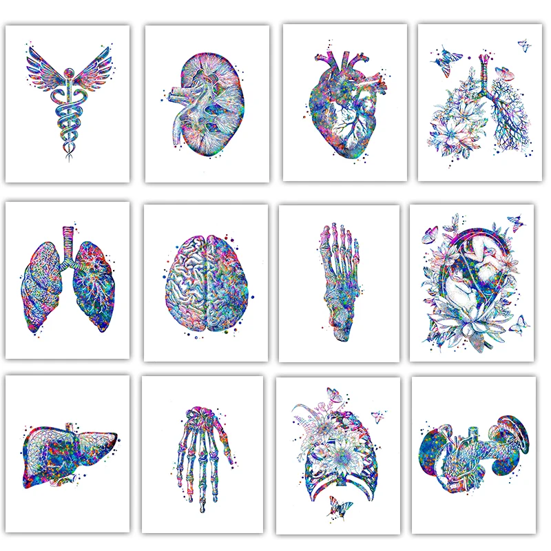 Medical Lab Posters - ملصق طبي تشريحي، لوحة فنية جدارية