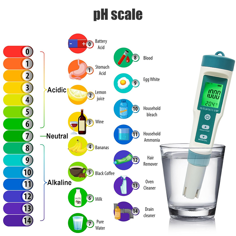 WESTTUNE مقياس درجة الحموضة ال - مراجعة Ph Meter وسعره