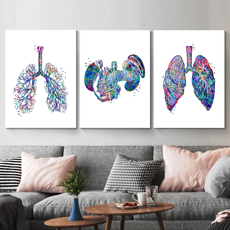 Anatomy Medical Poster Flower  - مراجعة Medical Lab Posters وسعره