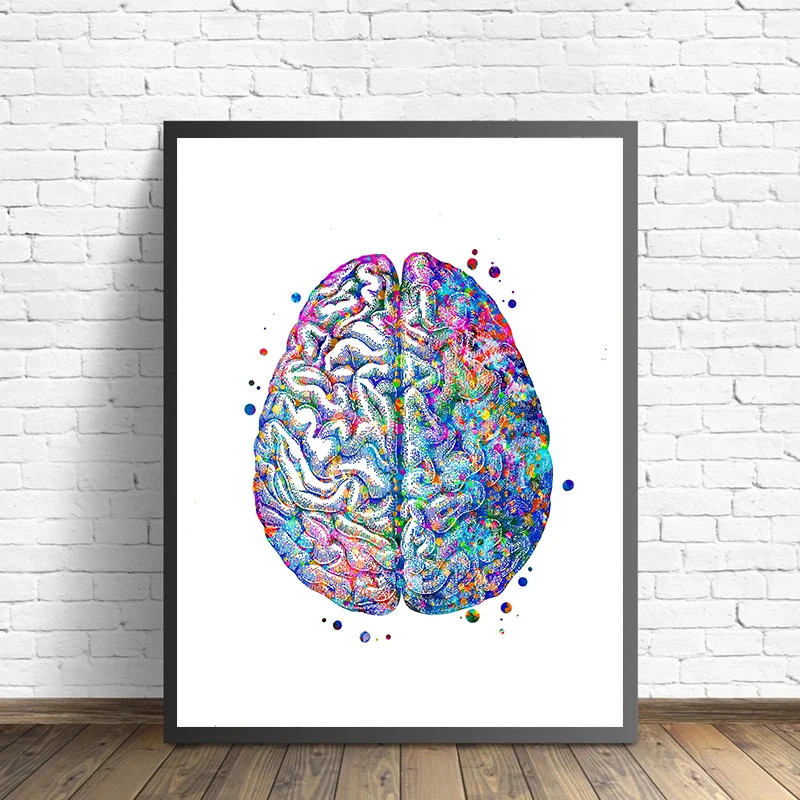 Anatomy Medical Poster Flower  - مراجعة Medical Lab Posters وسعره