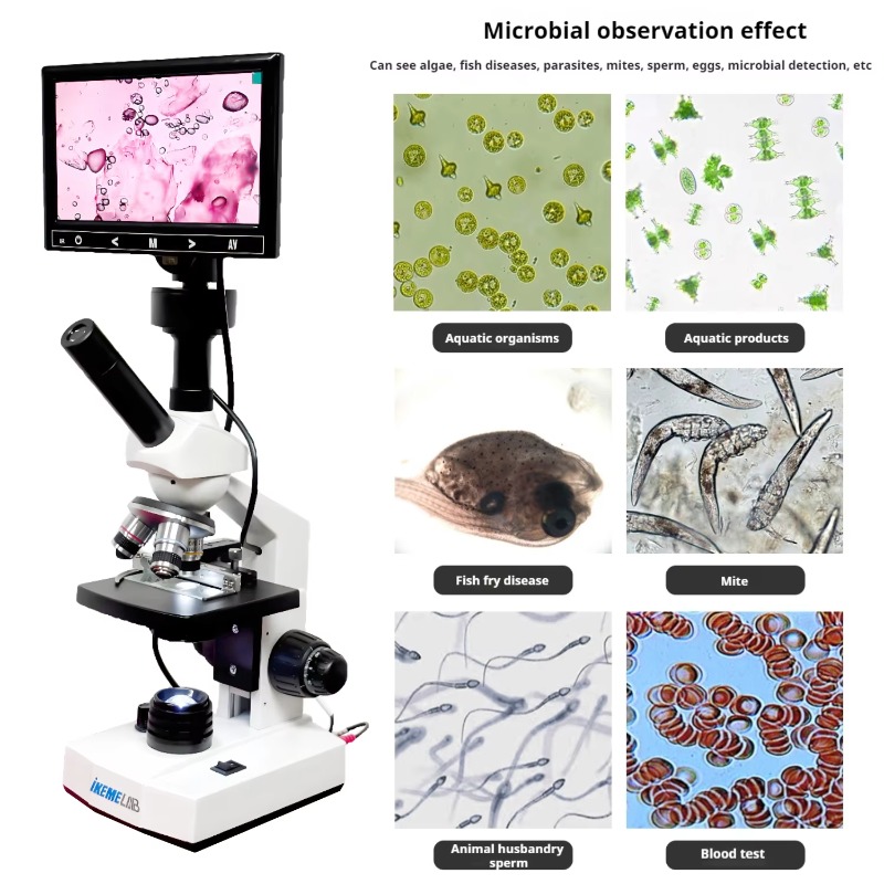 مجهر بيولوجي رقمي بشاشة عالية  - مراجعة Medical Lab Microscope وسعره