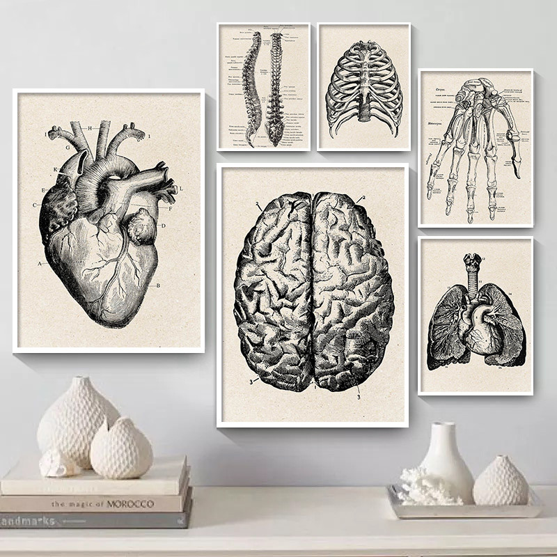التشريح الطبي الفني قماش ملصق  - مراجعة Medical Lab Posters وسعره