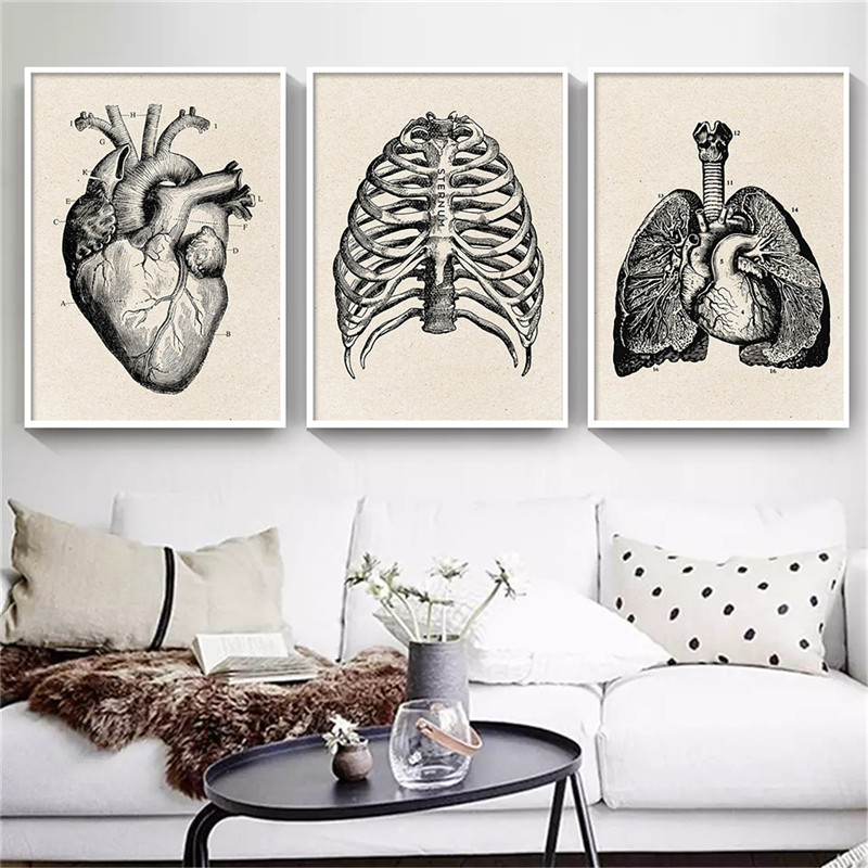 التشريح الطبي الفني قماش ملصق  - مراجعة Medical Lab Posters وسعره