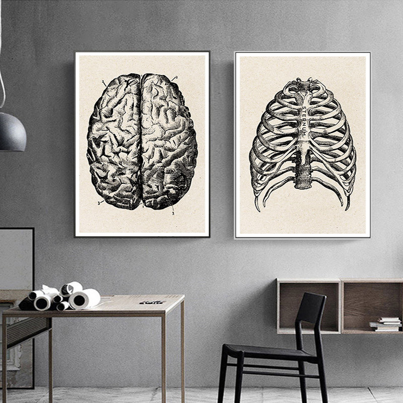 التشريح الطبي الفني قماش ملصق  - مراجعة Medical Lab Posters وسعره