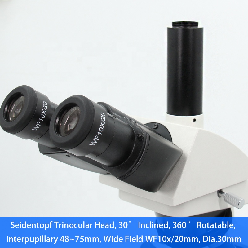 40x-1000x إنفينيتي النظام البص - مراجعة Medical Lab Microscope وسعره
