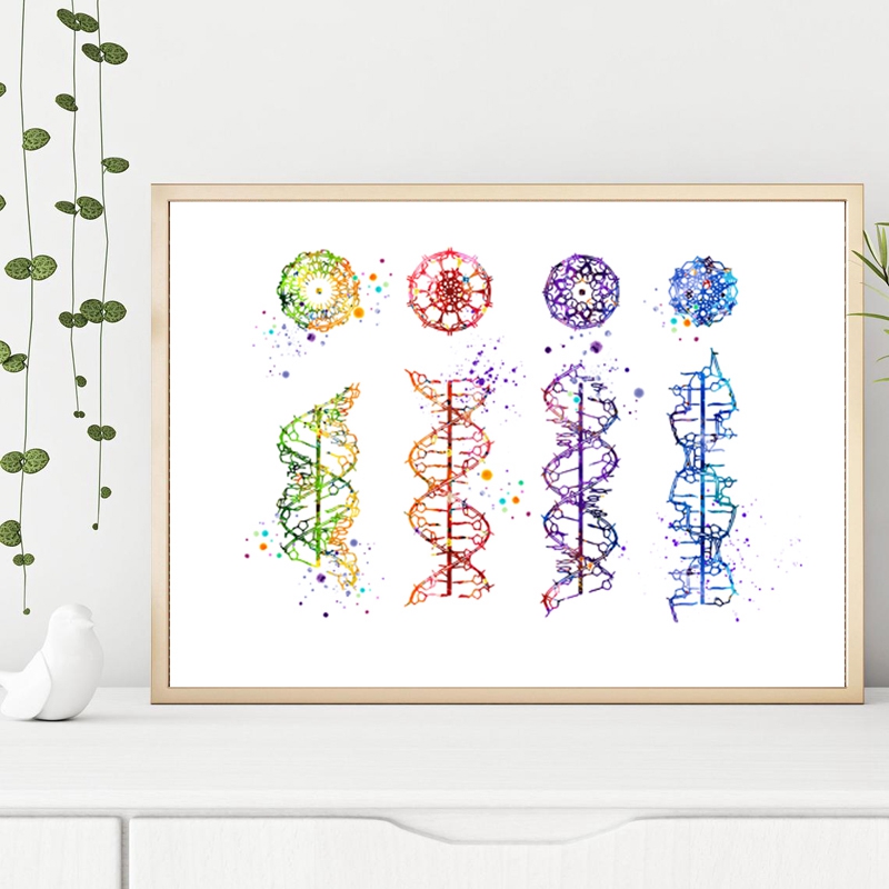 DNA جزيء طباعة الحديثة الطبية  - مراجعة Medical Lab Posters وسعره