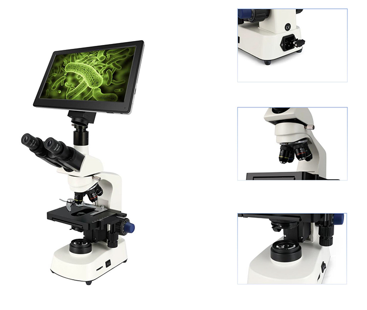 HC-B079A مجهر كهربائي رخيص الث - مراجعة Medical Lab Microscope وسعره